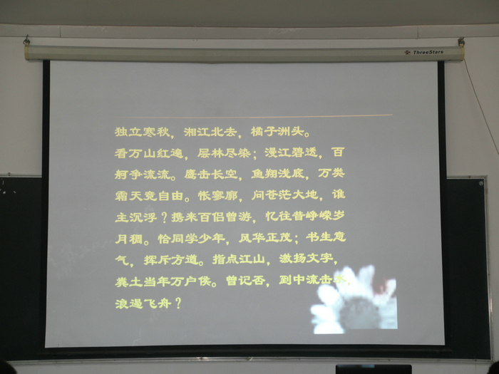 1586401223229081.jpg 1579148563471964.jpg